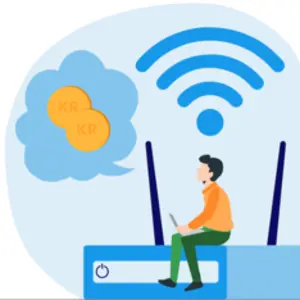 Hvad er fibernet?